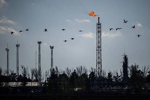 Потери Венгрии из-за отказа от российского газа оценили в миллиарды долларов