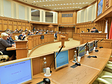 Координационный совет в сфере добровольчества создадут в Подмосковье