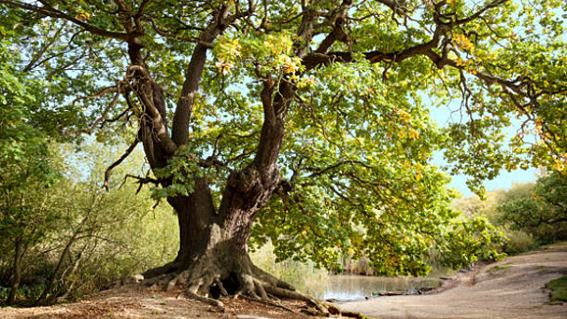 Народные приметы на 31 мая 2024 года: что нельзя делать в этот день