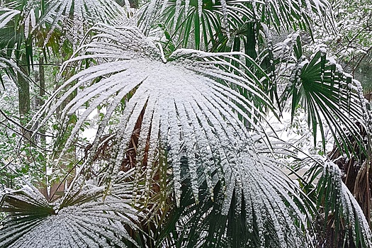 Улицы столицы Ливии Триполи покрылись снегом из-за погодной аномалии