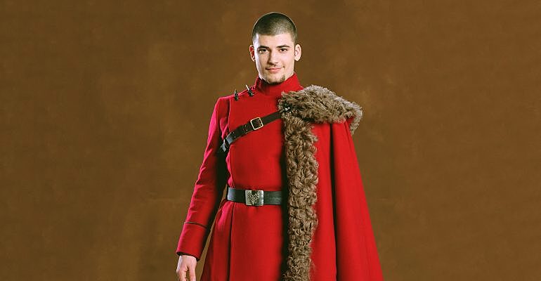 Купить волшебная палочка Fantasy Earth Harry Potter Виктора Крама, цены на Мегам