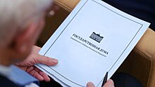 Депутаты Госдумы задекларировали кладовку, колбасный цех и полхутора в Финляндии