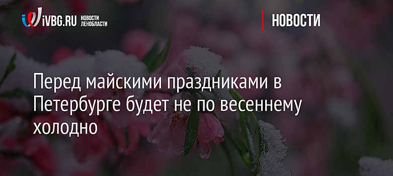 Перед майскими праздниками в Петербурге будет не по весеннему холодно