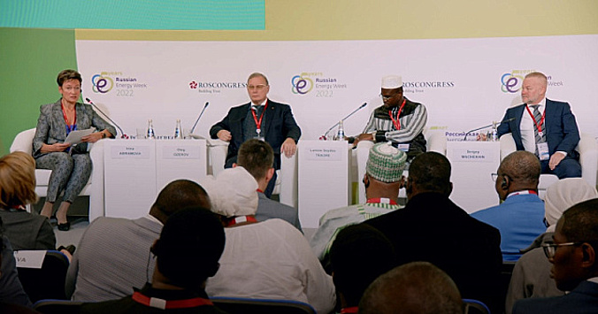 На РЭН-2022 обсудили энергетическое развитие стран Африки
