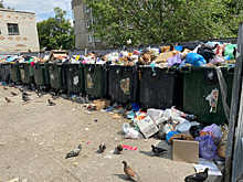 Курганец пожаловался на скопление мусора в центре города