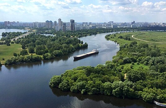 Шестилетнего мальчика насмерть зарубило винтами катера в Москве-реке