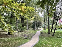 Самовольно нельзя: власти Омска рассказали, как получить разрешение на высадку деревьев возле многоэтажки