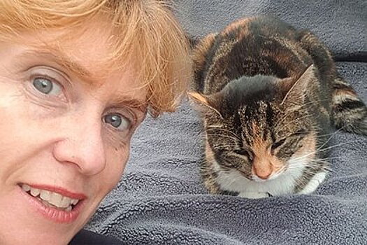 Вещий сон помог женщине найти пропавшую кошку