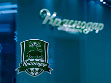 «Зенит» попросил экспертов разобраться в игровых моментах с «Краснодаром»