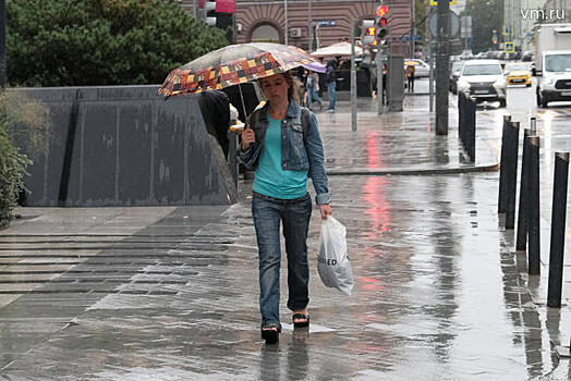 Во вторник москвичам обещают небольшой дождь