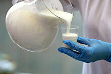 Дворкович: Дефицит отечественного молока в РФ составил 25 процентов