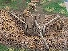 Осужденные Архангельской воспитательной колонии стали призерами областной Олимпиады по техническому моделированию