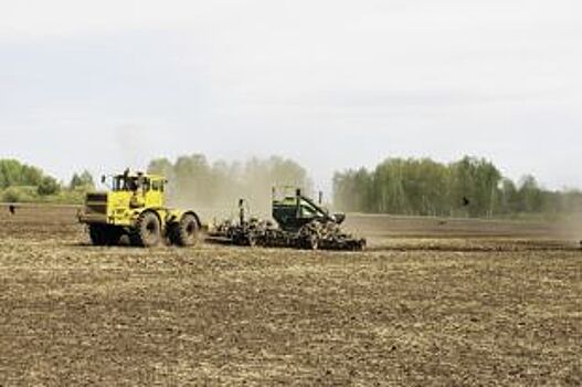 Как помочь новосибирским аграриям? Урожай фуражного зерна сложно продать.