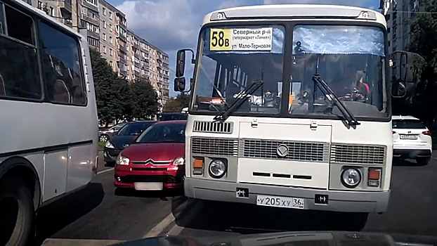 В Воронеже объезжавший пробку по «встречке» водитель маршрутки попал на видео