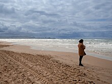 Житель Анапы считает, что нашел на пляже кость древней лошади