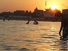 Крым нашел способы поддержать экспорт своей продукции