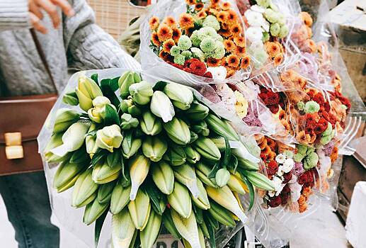 Популярная российская блогерша спаслась от мошенников благодаря лени