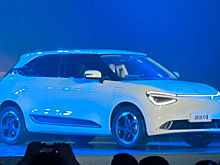 Dongfeng создал новый автобренд