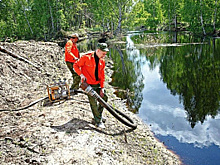 Более 400 тыс. куб. м воды закачали в системы обводнения торфяников Подмосковья для борьбы с их горением