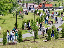90 туй высажено в сквере имени Луначарского в Ленинском районе Нижнего Новгорода