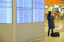 Десятки авиарейсов задержаны и отменены в аэропортах Москвы