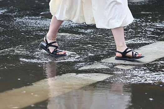 Вильфанд: жара и ливни прогнозируются в регионах юга европейской части России