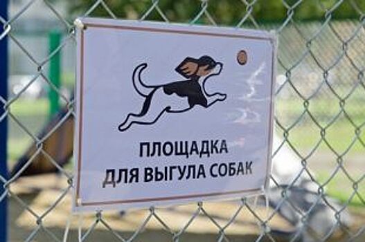 Площадки для выгула собак в Ярославле: предварительный список