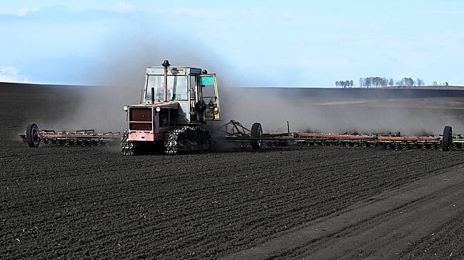 Названы профессии с зарплатой до 300 тысяч рублей в месяц