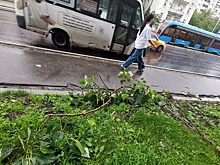 Городские службы ликвидируют последствия непогоды в Москве