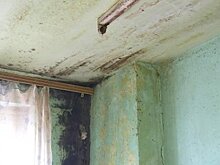 Таинственный грибок оборвал жизнь молодой актрисы и ее мужа