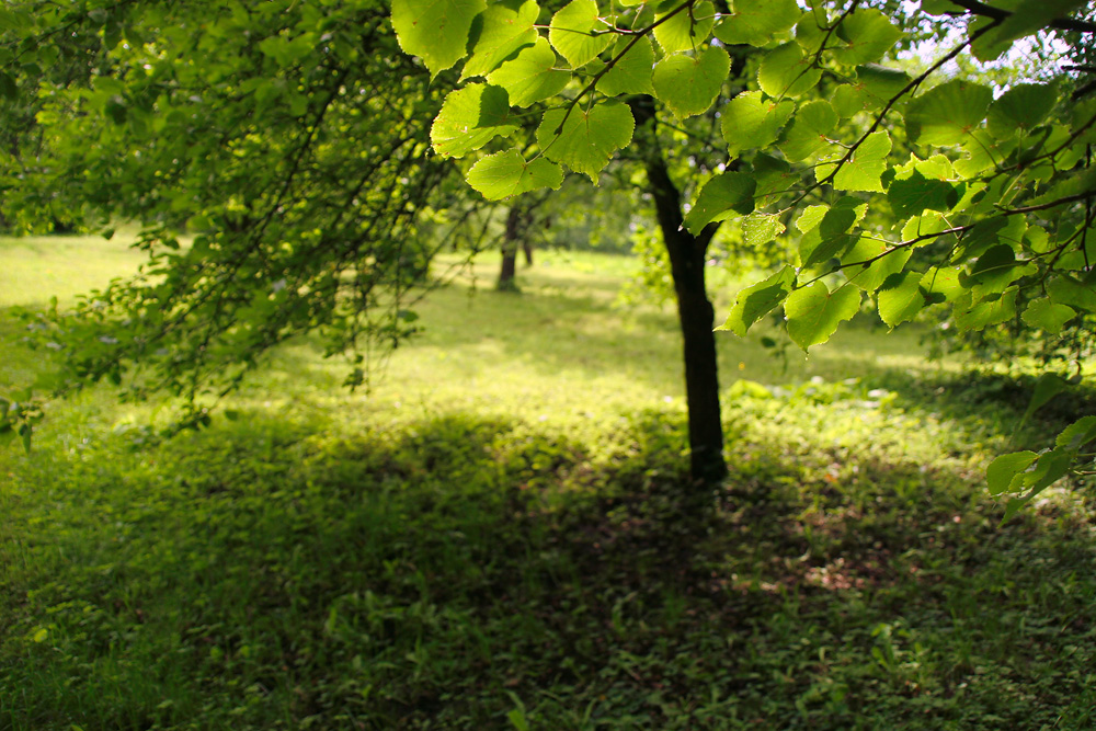 Приморский парк, Лиепая, Латвия, Европа