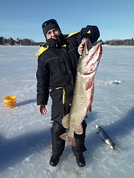 Выборгский рыбак поймал в Финском заливе щуку-гигант