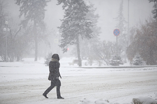 29 декабря в Волгоградской области ожидаются снегопады и метель
