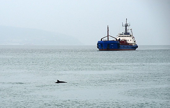 ЕС&nbsp;включил в&nbsp;антироссийские санкции еще 41&nbsp;нефтяной танкер