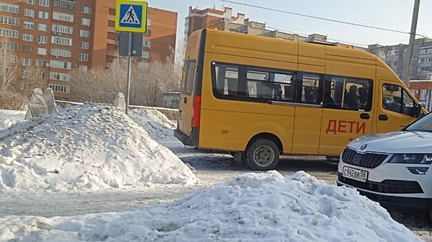 Депутат удивился тратам на подвоз детей из сел в школы Пензы