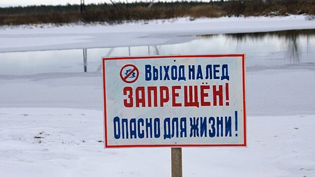 В Астрахани собаку спасали изо льда