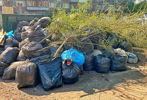 Омские власти говорят, что мусор после субботников вывозится круглосуточно: мы узнали у жителей, где до ...
