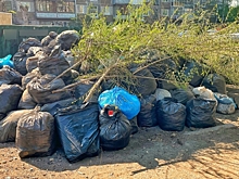 Омские власти говорят, что мусор после субботников вывозится круглосуточно: мы узнали у жителей, где до ...