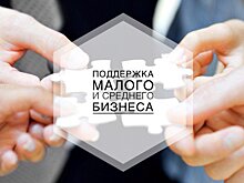 62 тамбовских предпринимателя получили оперативную поддержку при помощи «Антикризисного займа»