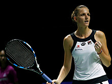 Плишкова вышла в полуфинал турнира в Штутгарте