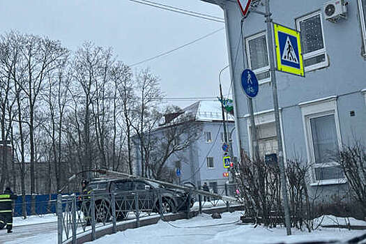В Ленобласти фонарный столб рухнул на автомобиль