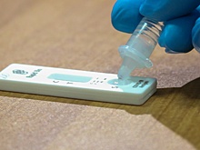 За сутки 14 человек скончались от коронавируса в Новосибирской области