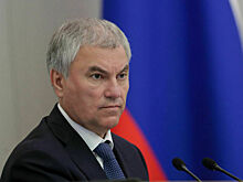 Володин предложил экстрадировать в Россию Чубайса