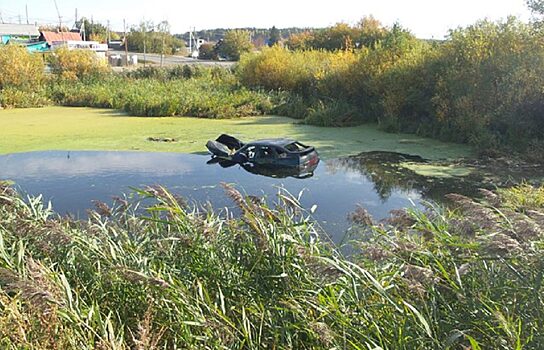 Житель Куртамыша утопил в болоте автомобиль друга