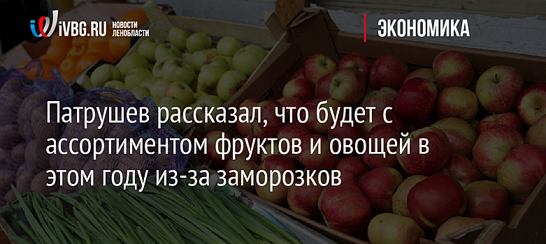 Патрушев рассказал, что будет с ассортиментом фруктов и овощей в этом году из-за заморозков