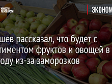 Патрушев рассказал, что будет с ассортиментом фруктов и овощей в этом году из-за заморозков