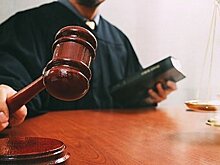 Приговор вынесли мужчине, который похитил и съел собаку в Хабаровске