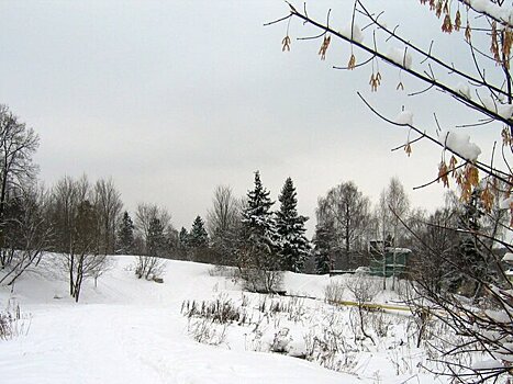 Синоптик Шувалов: аномальные морозы ожидаются в Якутии и Иркутской области