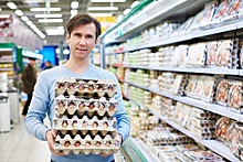 Россия запретила поставки инкубационных яиц из Чехии и Нидерландов