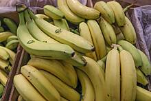 Названа причина возможного подорожания бананов
